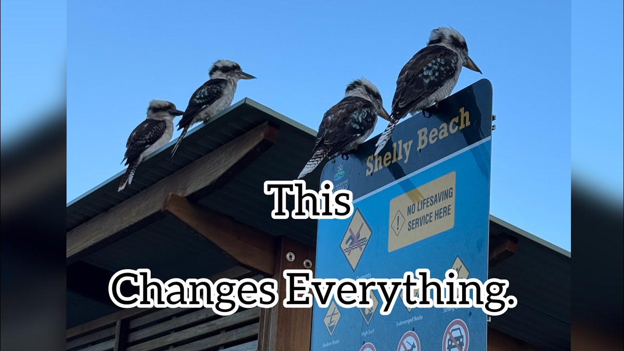 Australia’s Hidden Gem 🇦🇺 | The Beach Town You’ve Never Heard Of #PortMacquarie#DroneFootage #4K