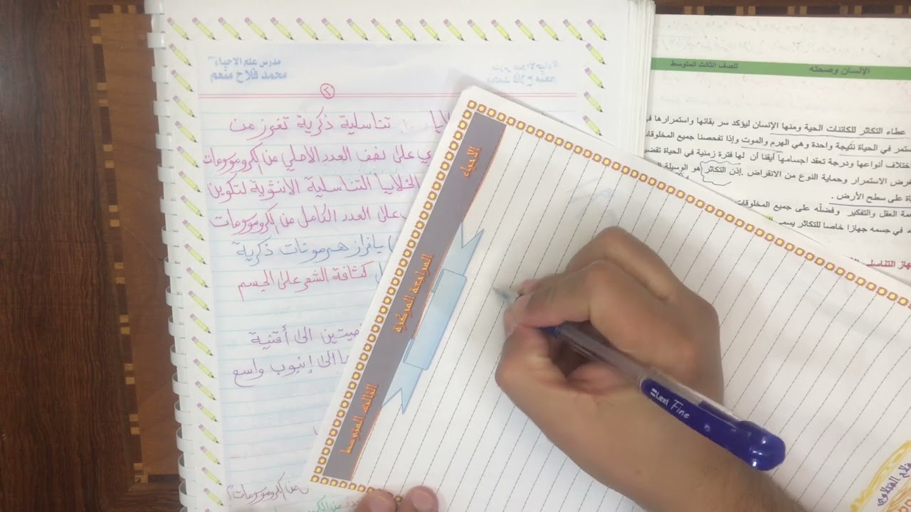 احياء الثالث المتوسط /الفصل الثامن / الجهاز التناسلي / المحاضرة الأولى / مراجعة مركزة