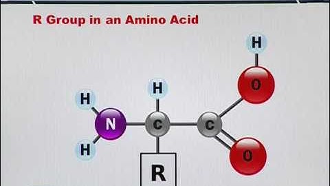 Topic 155 (BIF401 - Bioinformatics I)