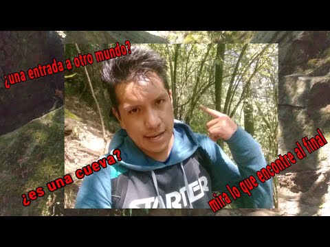 una cueva misteriosa en el bosque