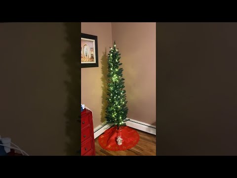 Six Foot Tree Doesn't Quite Delight || ViralHog