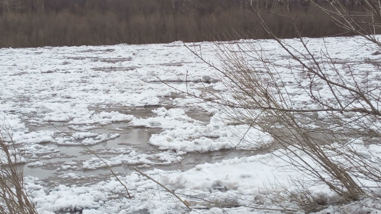 Ледоход в нижнем новгороде 2024. Ледоход Салехард 2022. Ледоход Оренбург 2021. Ледоход в Выксе. Ледоход Великий Устюг 2021.