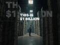 💰Elon Musk’s $800 Billion Fortune Explained in 60 Seconds #didyouknow #ai #earthscience