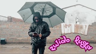Dareallilsmoke Ft Phuluso Zwido Luga   