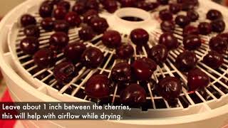 How to Dehydrate Cherries | The Whole Food Project