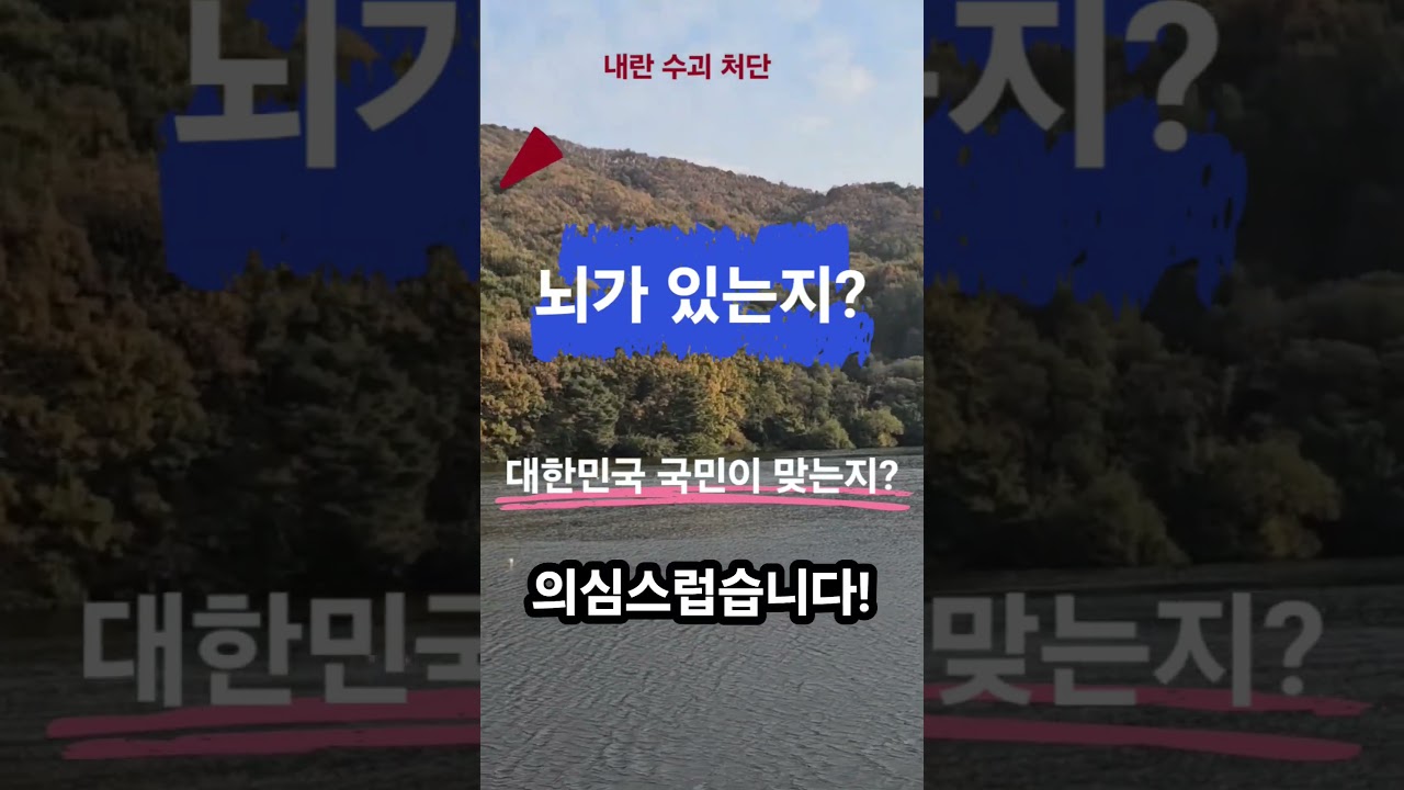 내란수괴 처단