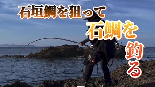 【石鯛釣り】石垣鯛を狙って、石鯛が釣れた日。