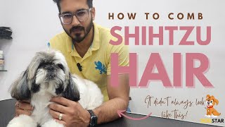 How to comb a Shihtzu | Shihtzu ki kangi kaise kare | Brushing Shihtzu's hair