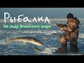 Атмосферное видео про подлёдную зимнюю рыбалку