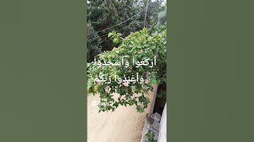 #تلاوة_خاشعة #تلاوة_هادئة #قرآن_كريم #تلاوة_مميزة #قرآن #عبدالرحمن_مسعد #القارئ_اسلام_صبحي #تلاوة