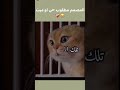 كيف مولاتي لا يعنكي اعمال Cat النجاح Funny الثراء اكسبلور تحفيز Cute الوصول قطط سهيلة