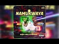 Namukwaya  alien skin x ronald mayinja official audio music