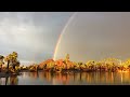 Desert Sounds 🌵 Bird Sounds of the Desert by an Arizona Lake 🏝 Oasis Nature Sounds - 4K