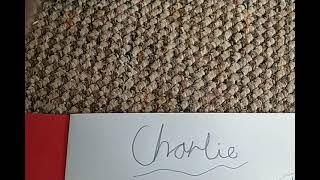 Charlie Emily Fan Art For Skyla Plays 04