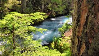 Relaxing Mountain River for Meditation and Sleep. Soothing Relaxation: Water Sounds for Meditation