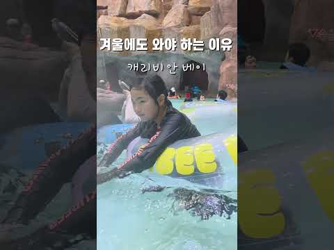 캐리비안 베이  겨울에 와도 더워
