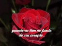 LINDAS MENSAGEM COM FLORES