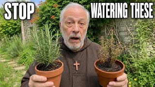 Stop Ruining Your Herbs — the Watering Mistake the Monks Never Made 