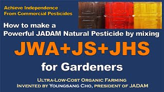 How to Make a Powerful JADAM Natural Pesticide by mixing JWA+JS+JHS for Gardeners. Homemade screenshot 4