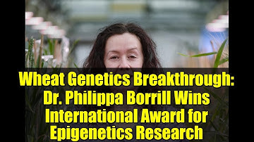 Wheat Genetics Breakthrough: Dr. Philippa Borrill Wins International Award for Epigenetics Research