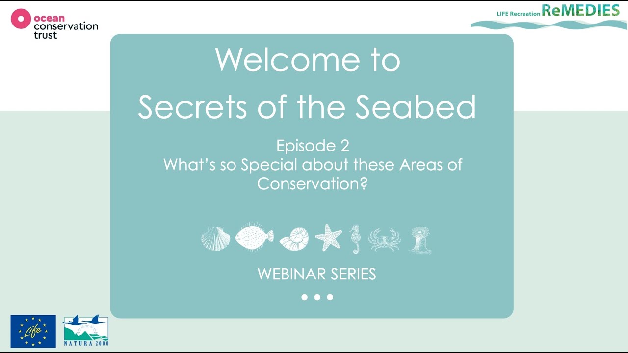 Secrets of the Seabed Episode 2: What’s so Special about these Areas of Conservation?