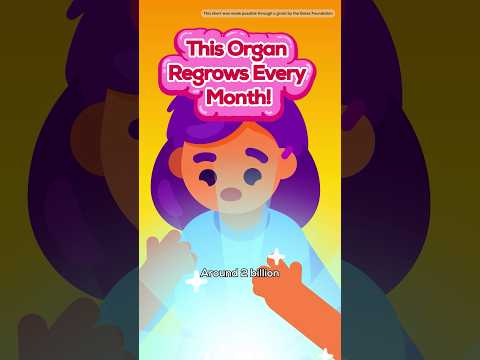 Humans Can Regrow an Organ