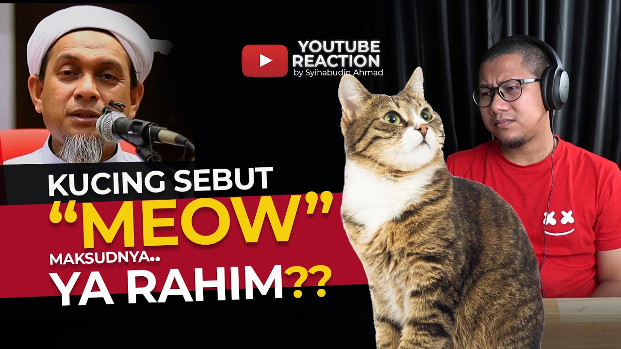 #85 Meow Kucing, Maksudnya Ya Rahim??