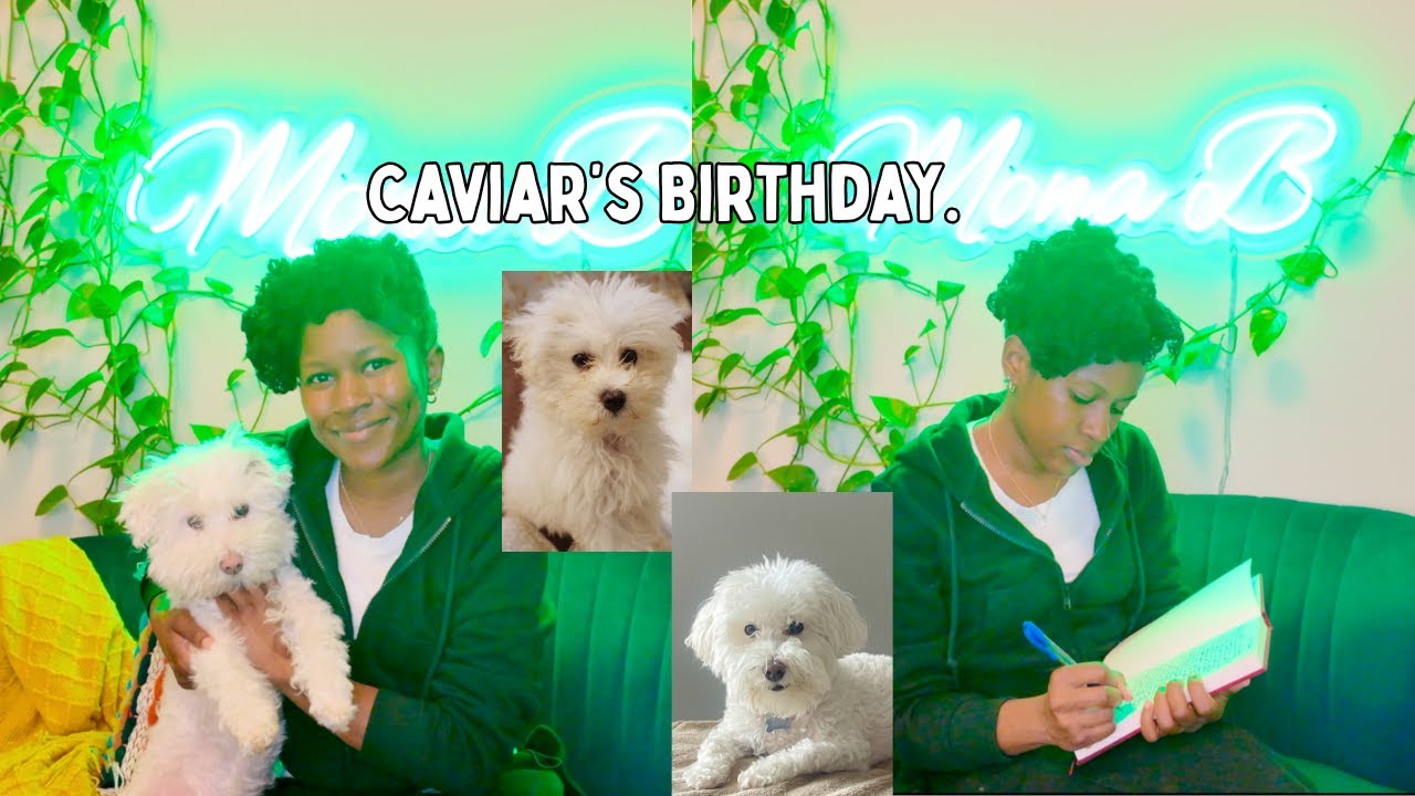 Happy 9th Birthday To My Son!! A Diary Entry Dedicated To Caviar!!🐾 | Vlogmas Diary 01