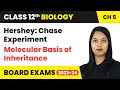 Hershey: Chase Experiment - Molecular Basis of Inheritance | Class 12 Biology Chapter 5