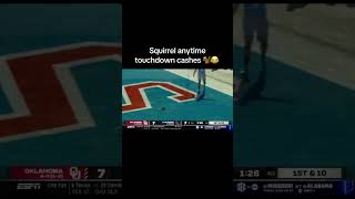 BIG TD from the squirrel 🐿️🤣 #shorts