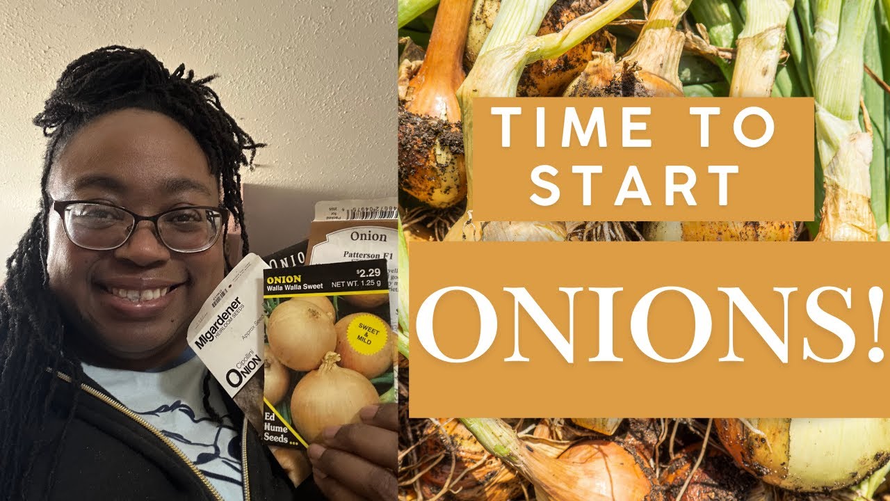 Easy Onion Seed Planting at Home Step by Step