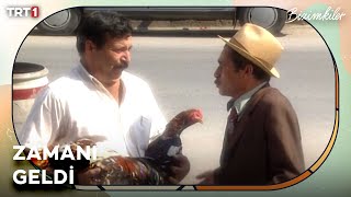 Yaşatmam Ben Bunları Burada - Bizimkiler 141. Bölüm