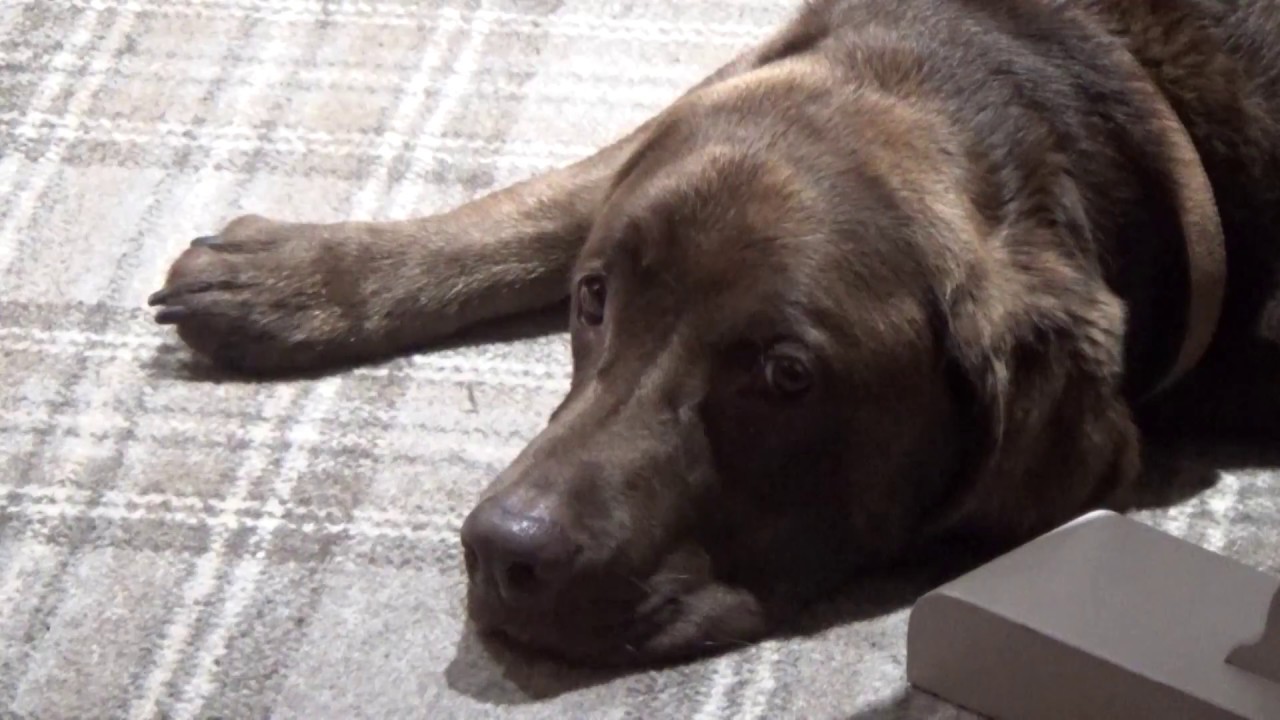 Rambler's Bar & Candleroom at the Inn on the Lake, Ullswater