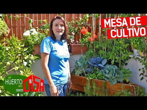 El huerto en casa 82 | Mesa de cultivo de esquina