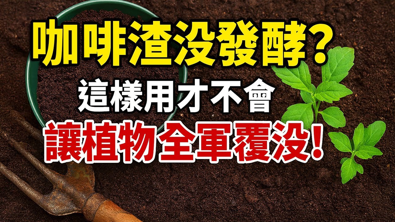 🌱咖啡渣沒發酵？這樣用才不會讓植物全軍覆沒！｜咖啡渣正確用法｜堆肥教學｜植物養護技巧｜環保園藝｜新手常見錯誤｜有機肥料注意事項
