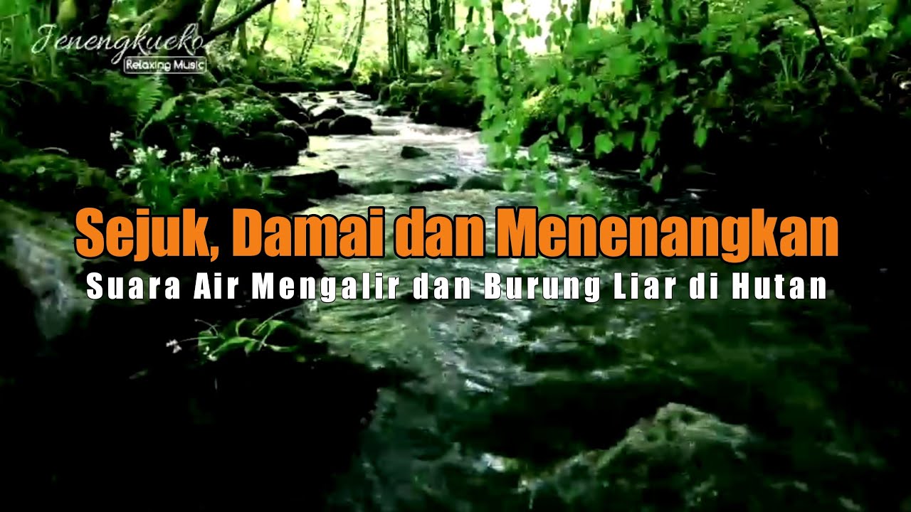 Download Suara Air Mengalir Jernih MP3: Relaksasi dan Ketenangan Sejati