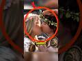 YOU DIDN'T NOTICE THIS SAD DETAIL ABOUT HOW TO TRAIN YOUR DRAGON