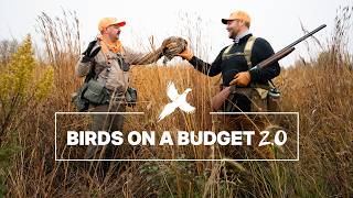 Birds on a Budget 2.0 | Cutting Costs While Hunting Pheasants, Quail and Other Upland Birds
