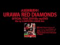 OFFICIAL YEAR 2019 Blu-ray/DVD、発売中!