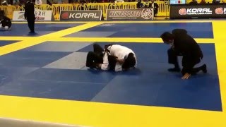 Sawato Kawamura Brown Belt Worlds 2013