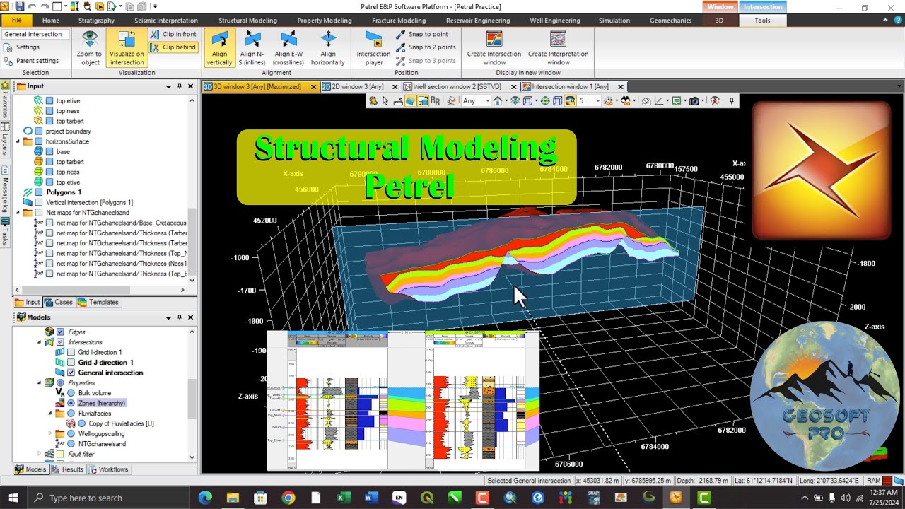 Structural Model Petrel Petrel Geological Modeling | Full Workflow: Logs to Facies (Quick Demo ...