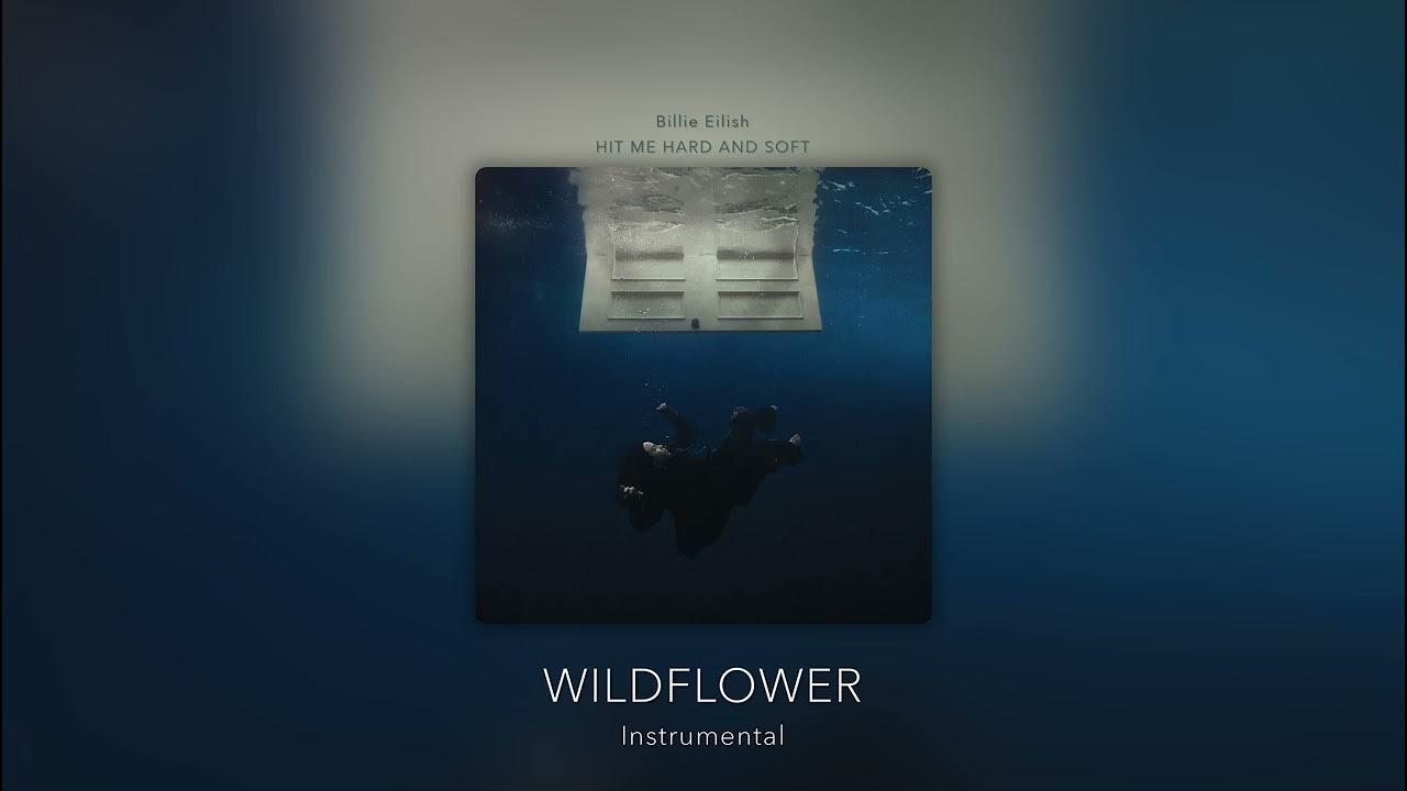Wildflower instrumental billie eilish youtube