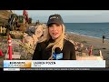 Malibu officials warn public of hazardous conditions amid ongoing costal erosion