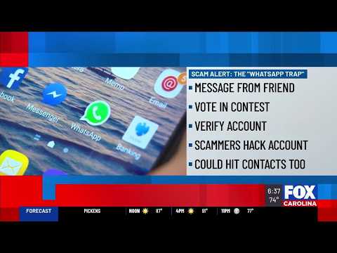 Comment Accéder au Support WhatsApp de WinKingdom