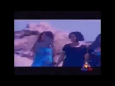 هما بيطلعوا امتى نجوم ليلك يا غالي