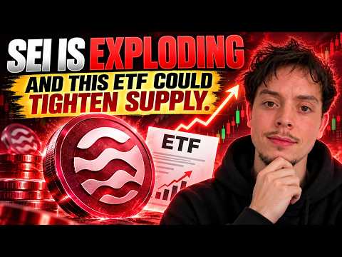 SEI Meledak – Dan ETF Ini Bisa Memperketat Pasokan
