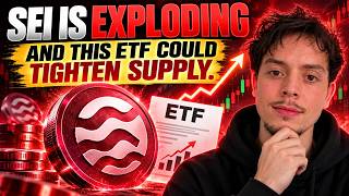 SEI Is Exploding – And This ETF Could Tighten Supply