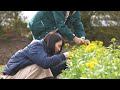 『わたしの田舎暮らし』 あの方が会いに来てくれました