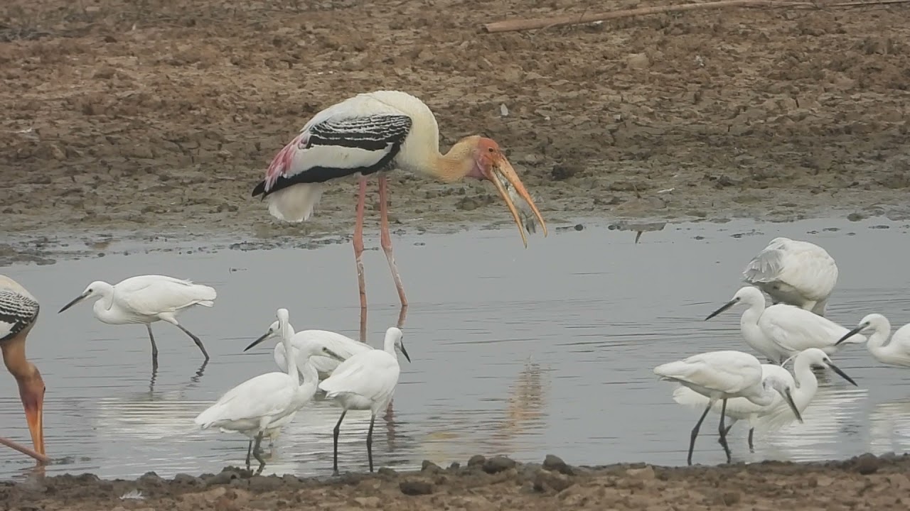 Kannuru Lake,Bangalore