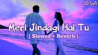 Meri Zindagi Hai Tu [Slowed  Reverb] Satyameva Jayate 2 | Mera pehla junoon slowed Reverb song